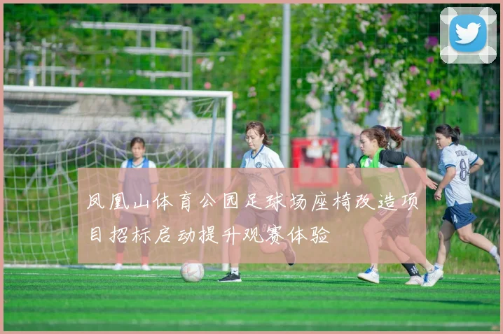 凤凰山体育公园足球场座椅改造项目招标启动提升观赛体验